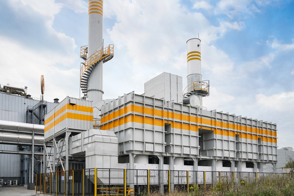 解锁生态环境和绿色低碳知识