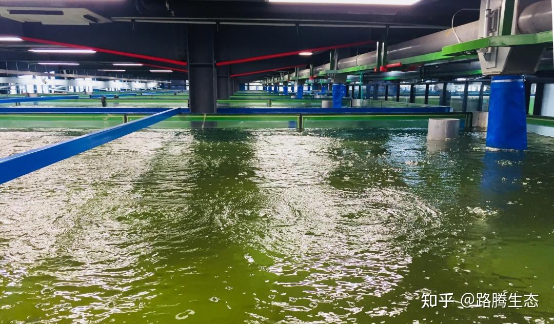 地点:云南省政府采购电子交易平台(政采云 )(操作路径:登录云南省政府采购电子交易平台(政采云)-项目采购-获取采购文件-找到本项目-点击“申请获取采购文件”)