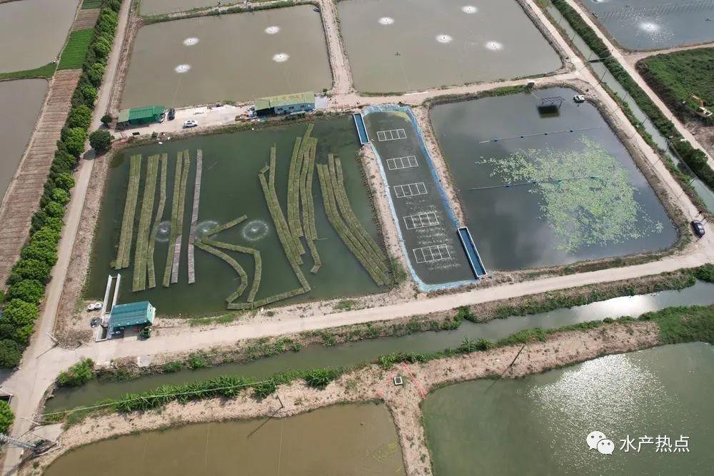 公安机关第一时间开展立案侦查