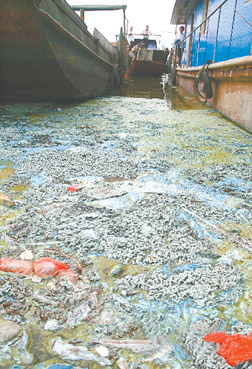 真正实现污染减排与高质量发展双赢