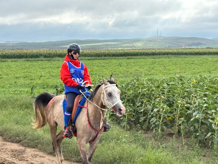 2025套马沟马术耐力赛8月开赛 草原赛道迎国际精