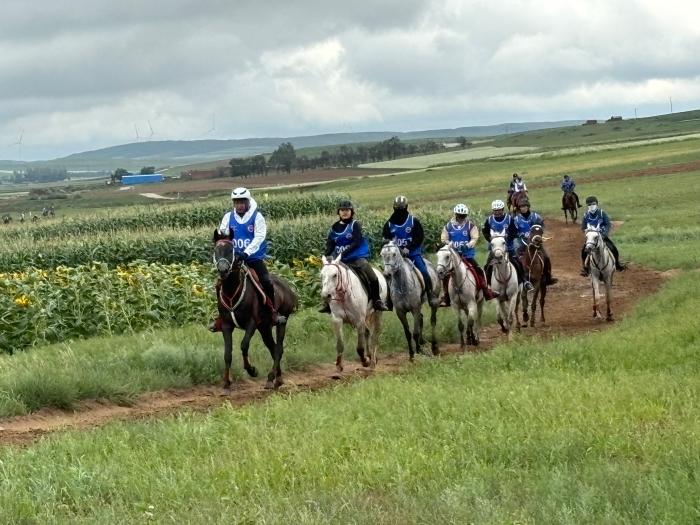 2025套马沟马术耐力赛8月开赛 草原赛道迎国际精